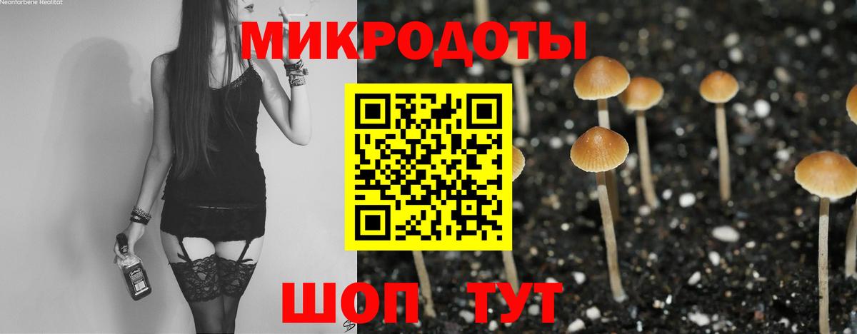 Нерюнгри  Псилоцибиновые грибы Cubensis  Вход с VPN 